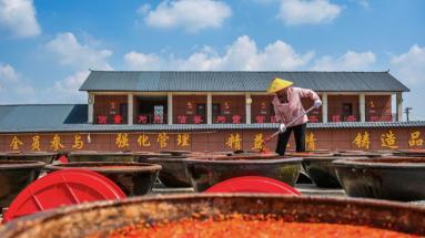 打卡舌尖上的“东方美学”！古法酱油晒场变身文旅新地标，非遗工业游迎来现象级爆单